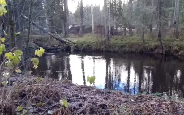 Река Рощинка