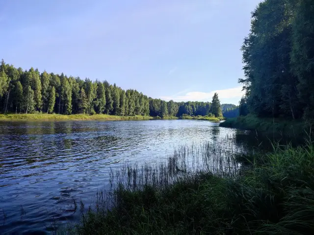 река Шуя