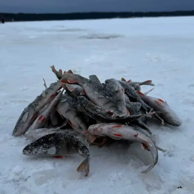 Липовское озеро