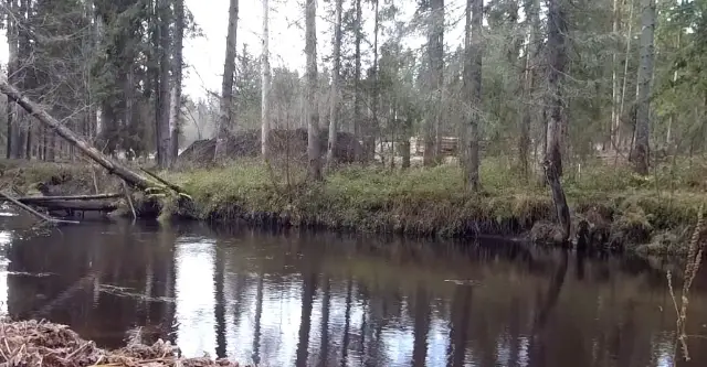 Река Рощинка