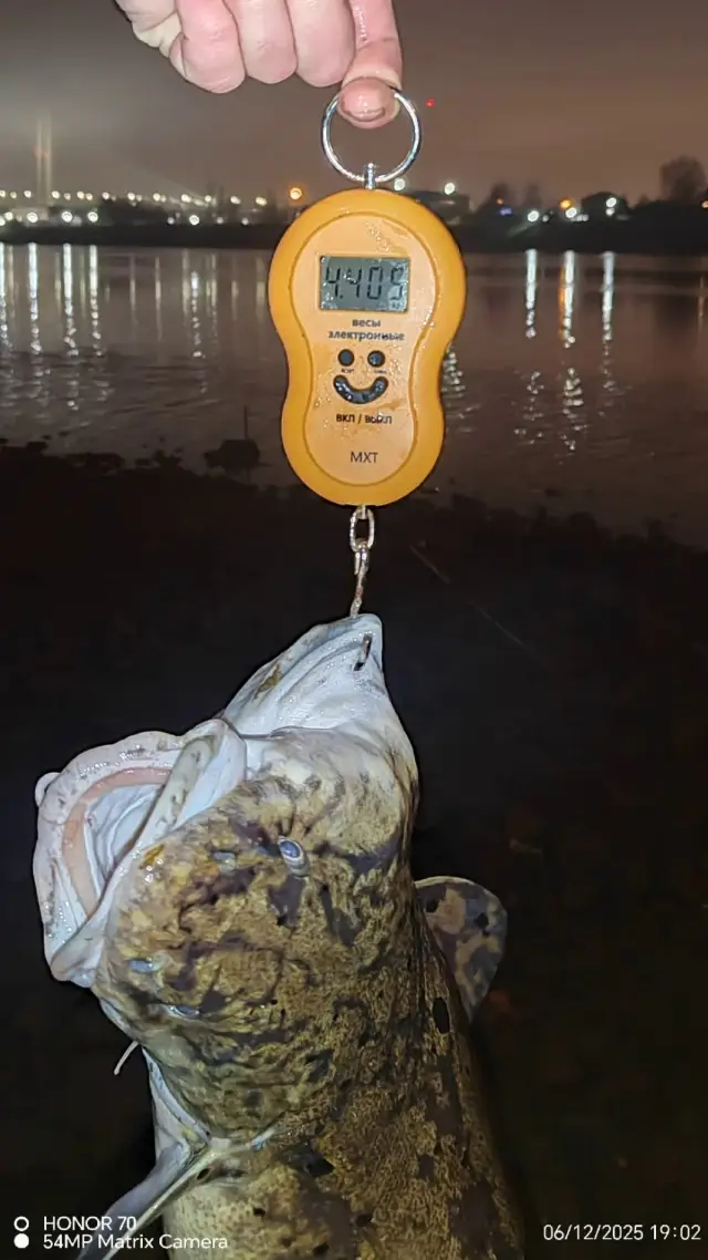 Река Нева