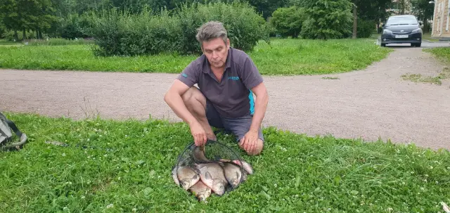 Река Ижора