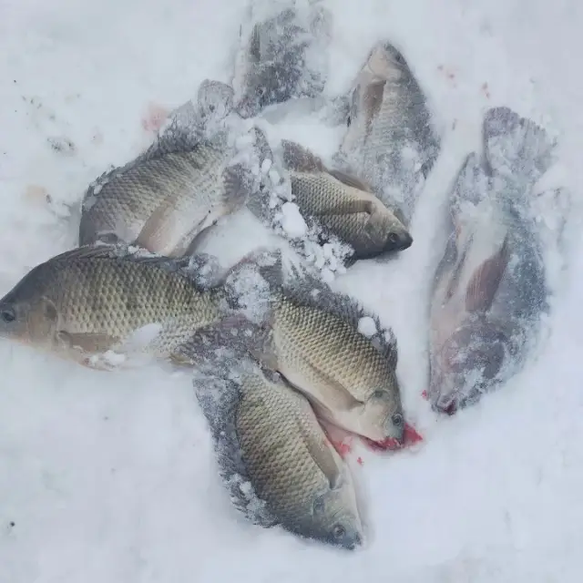 Озеро Удомля