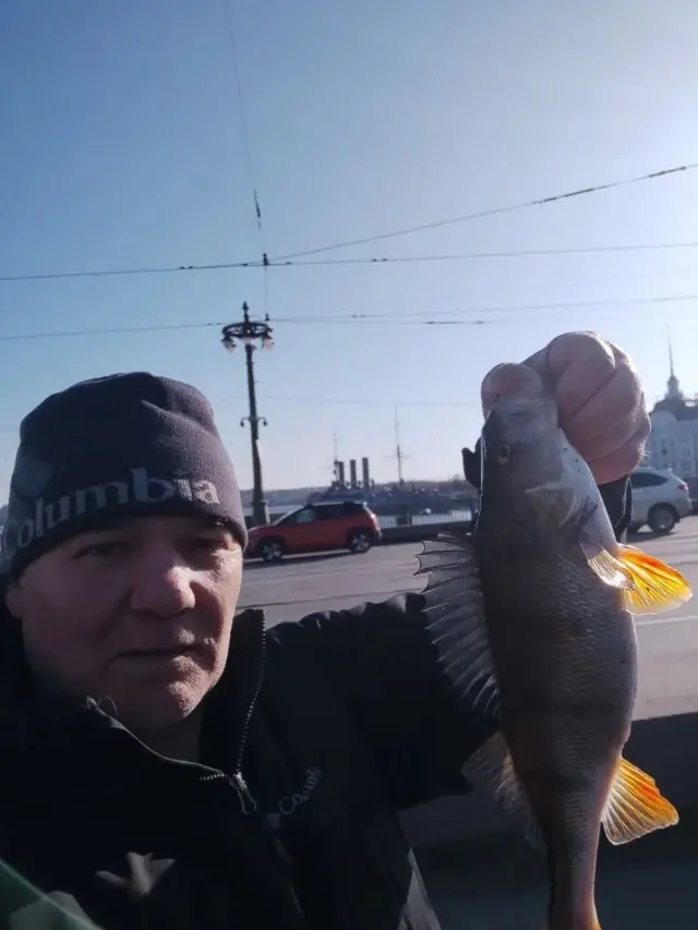 Река Большая Невка
