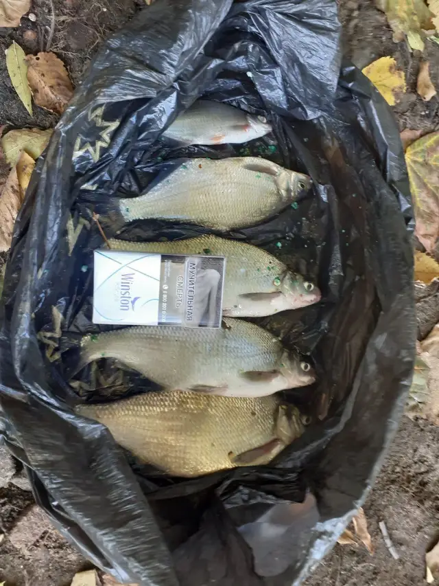 Река Охта